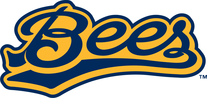Burlington Bees 2007-Pres Wordmark Logo iron on transfers for T-shirts